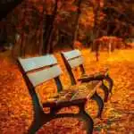Le 10 poesie dedicate all'autunno