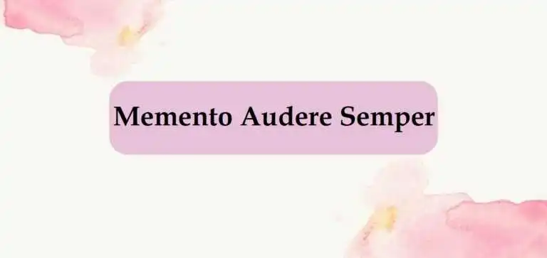 "Memento Audere Semper", origine e significato dell'espressione latina
