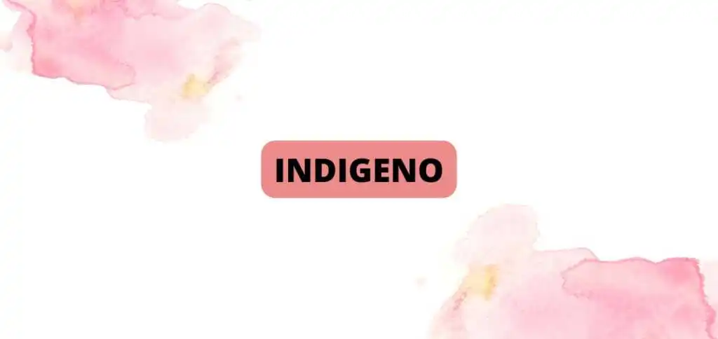 "Indigeno", quando una parola racconta la nostra storia
