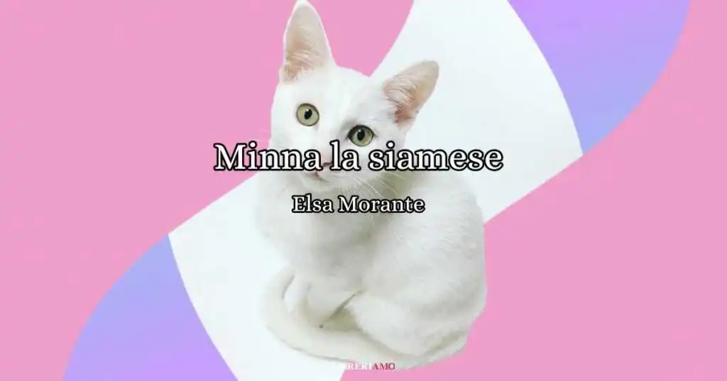 Minna la siamese (1952), la poesia di Elsa Morante dedicata alla sua gatta