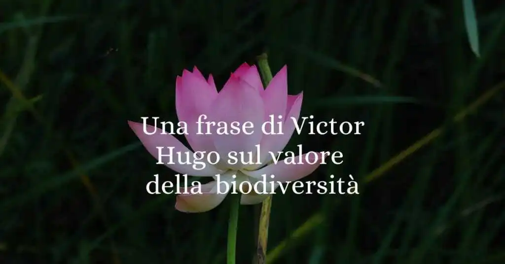 Una frase di Victor Hugo sul valore della natura e della biodiversità