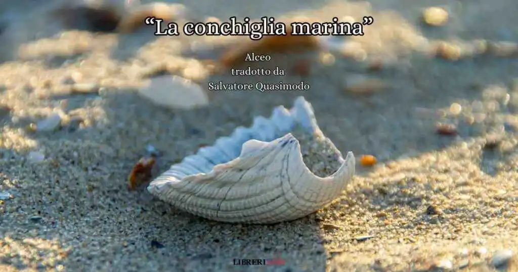 Un frammento di Alceo tradotto da Salvatore Quasimodo che racconta i ricordi di infanzia e la dolce malinconia della memoria: "La conchiglia marina".