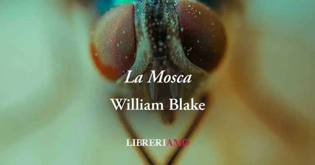 "La mosca" (1794) la poesia del visionario William Blake sull'imprevidibilità della vita