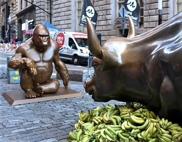 In ricordo del gorilla Harambe. NY 2021