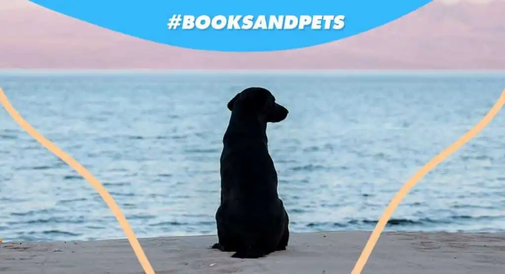 booksandpets luna cane canile