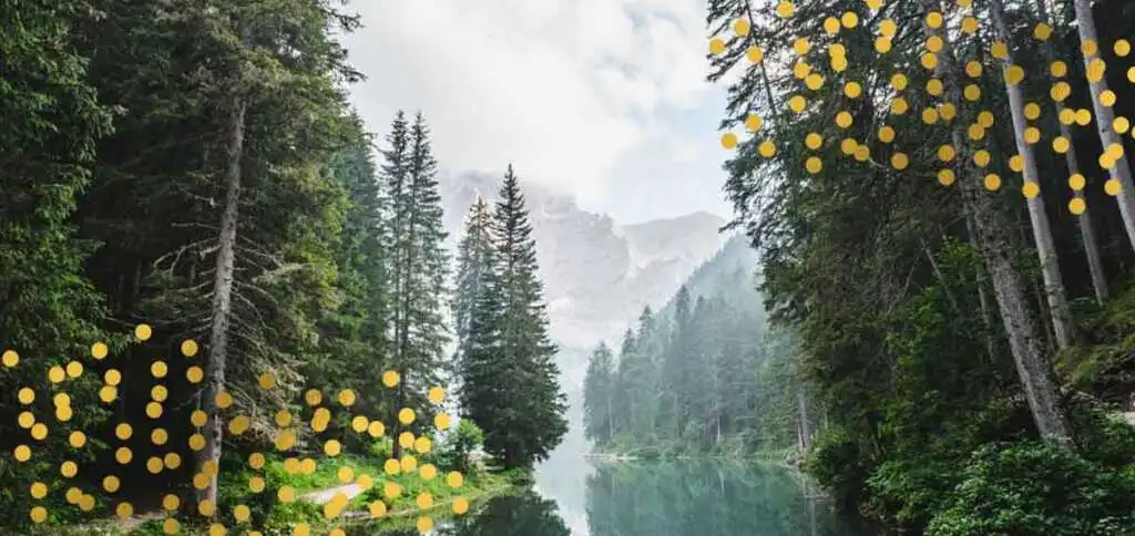 "La pioggia nel pineto" di D'Annunzio, i suoni della natura che si trasformano in musica
