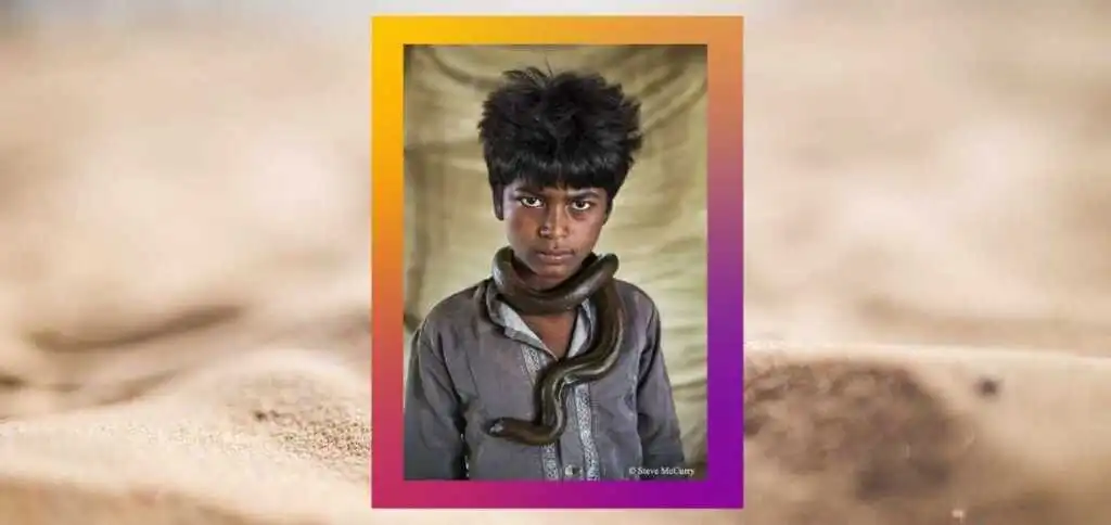 "Animals", la fotografia di Steve McCurry per salvare il mondo animale