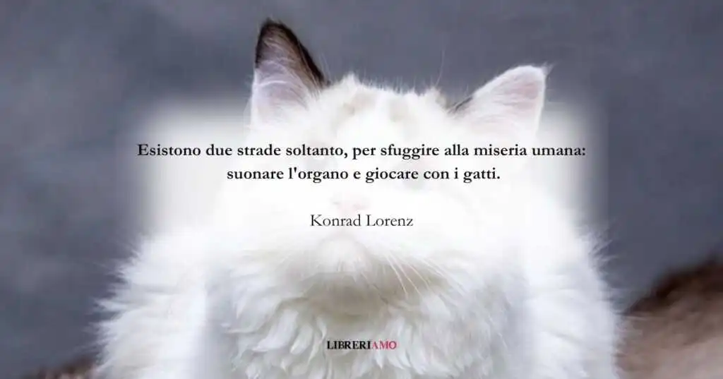 Una frase di Konrad Lorenz che loda l'importanza dei gatti