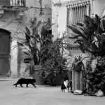Ortigia - Fotocredits: Tiziana Blanco