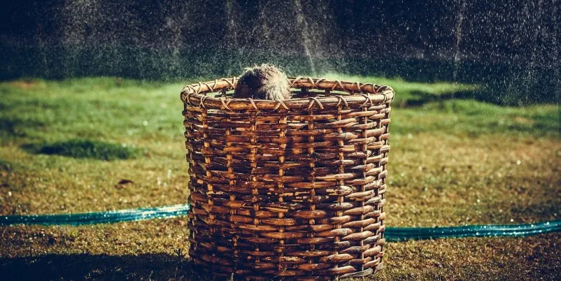 Era d’agosto - Racconto di Agata Bonanno