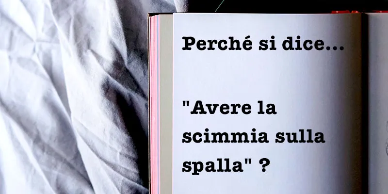 Perché si dice..."Avere la scimmia sulla spalla" ?