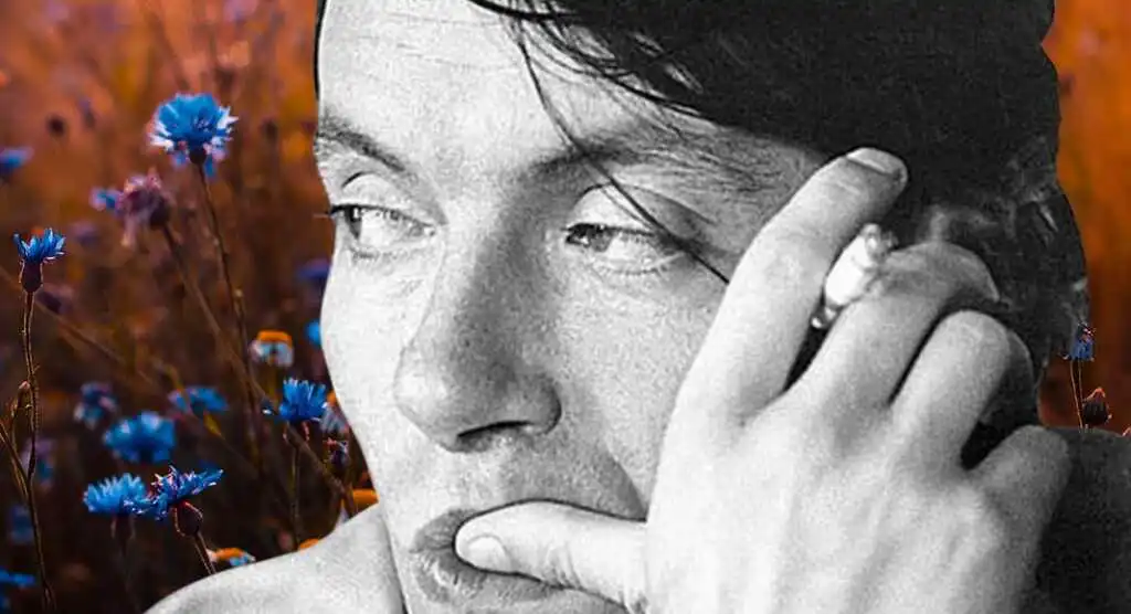 La canzone dell'amore perduto di De André, un amore che svanisce