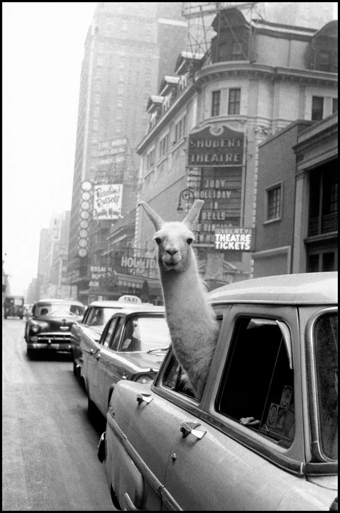 h 21.NYC11273