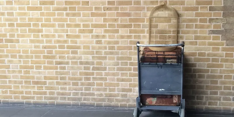 le 15 caratteristiche che accomunano i fan di Harry Potter