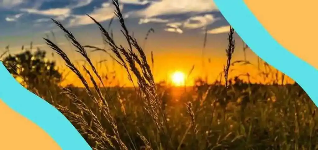 Il tuo nome ignoro, l'emozione dopo un incontro da sogno