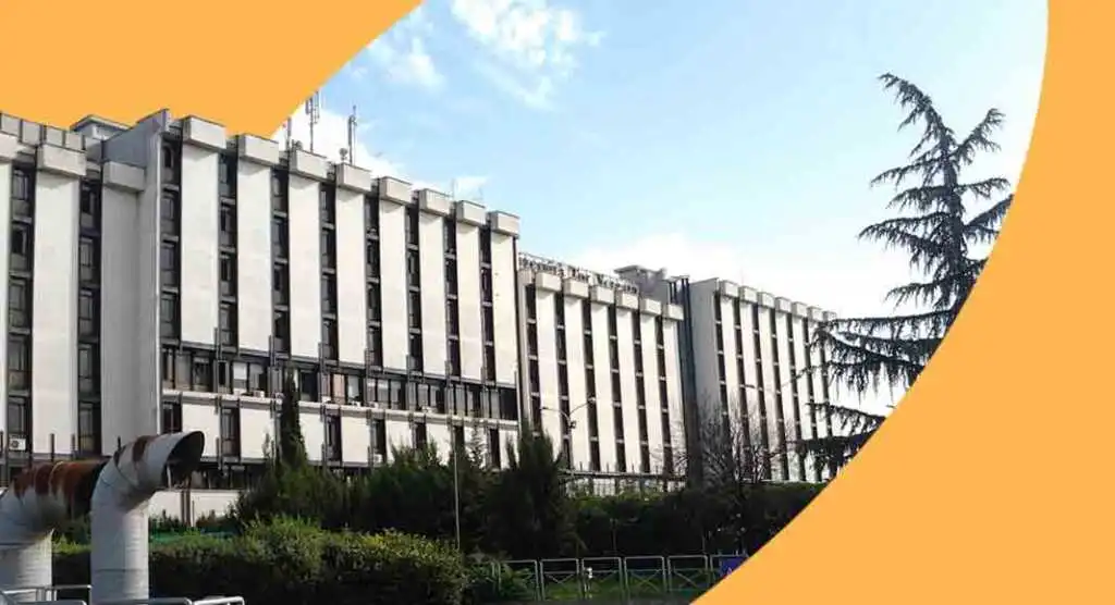 rank-universita