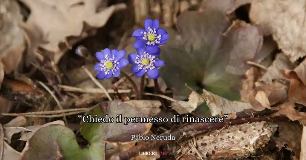 rinascita neruda