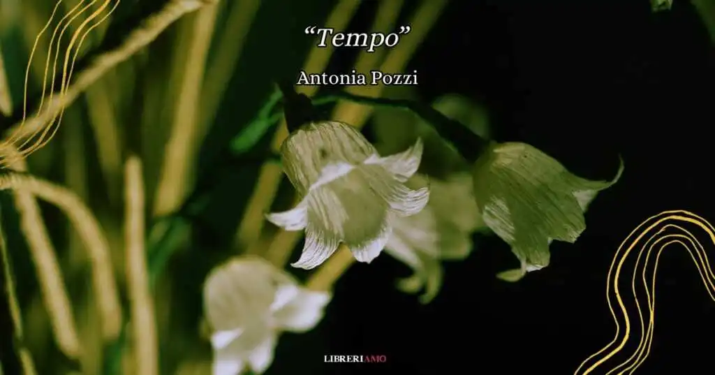 tempo antonia pozzi
