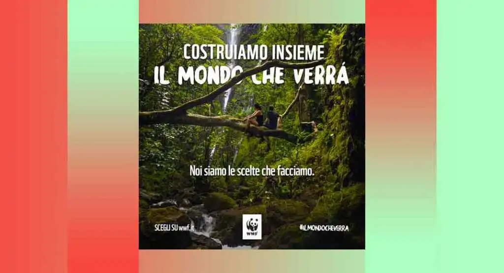 wwf (1)