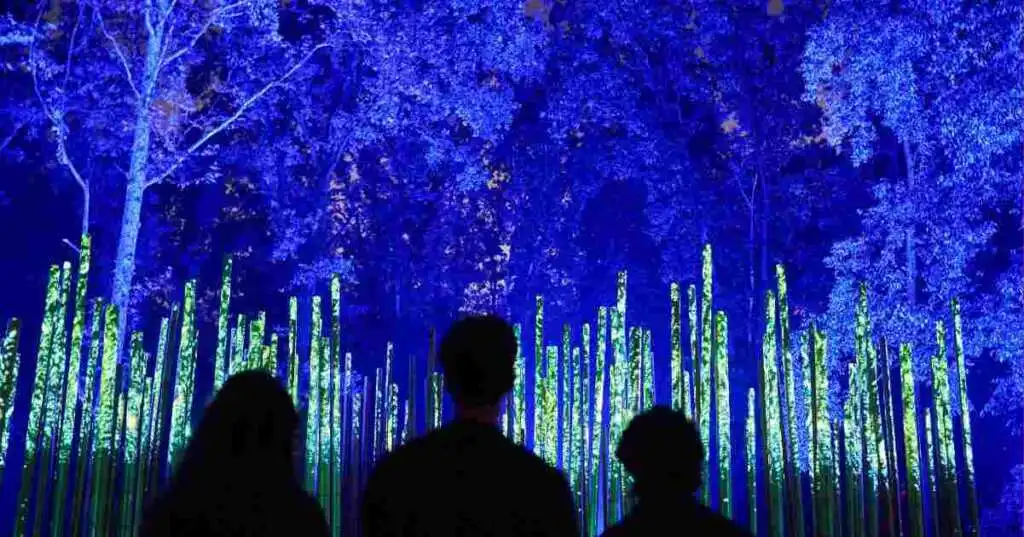 Light Cycles, la mostra digitale immersiva tra arte e natura