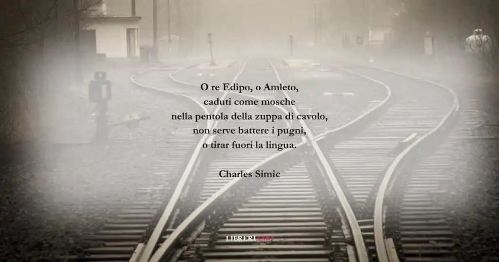 I versi di Charles Simic sul valore del nostro destino