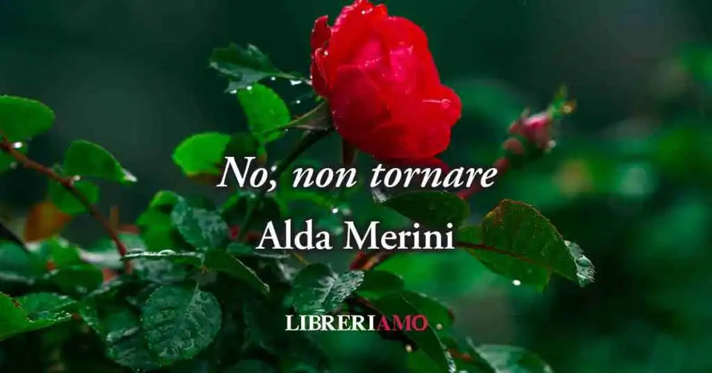 "No, non tornare" (1980) di Alda Merini, il piacere della solitudine per non soffrire d'amore