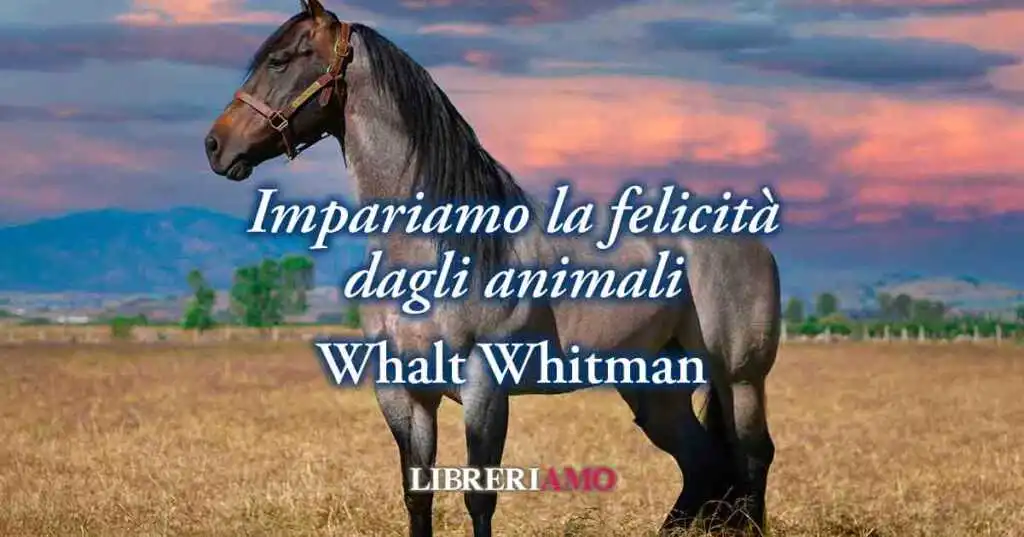 Una poesia di Whalt Whitman su come la felicità s'impara dagli animali