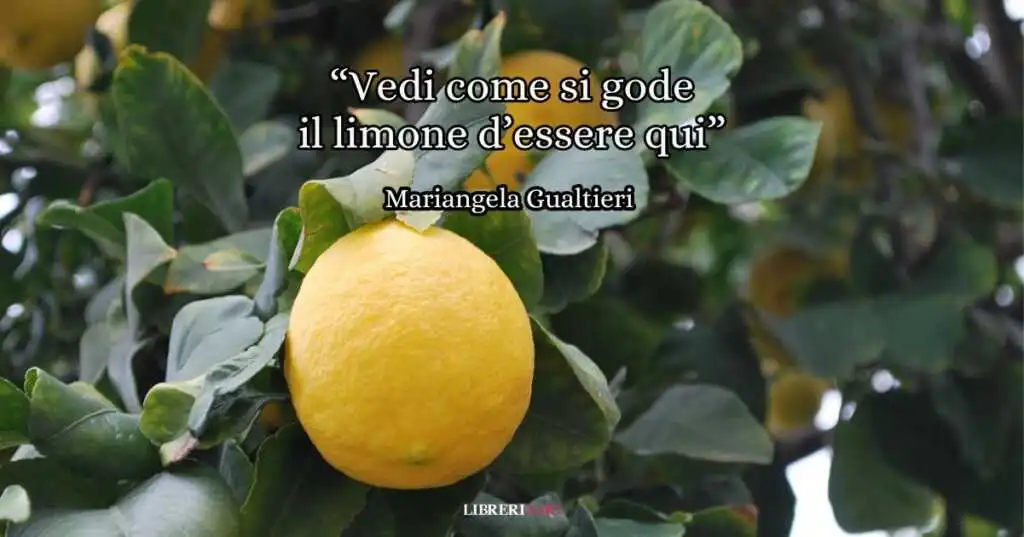 “Vedi come si gode il limone d’essere qui” (2024), il “qui e ora” nella poesia naturale di Mariangela Gualtieri