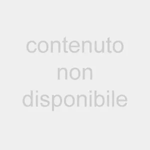 La relazione segreta sulle statue censurate: “Fu per ordine dell’Iran”