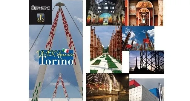 07092012144621 sm 2652