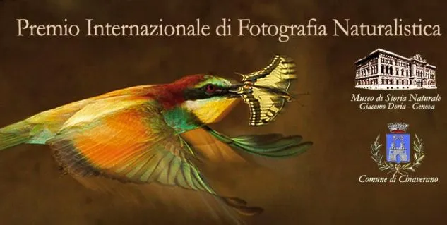 10032015185048 sm 11194