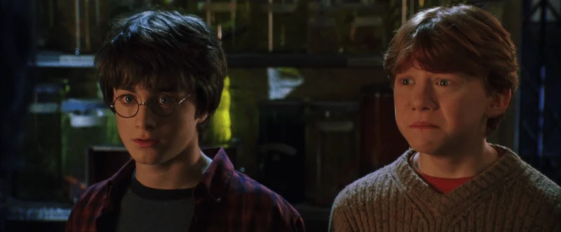 Harry Potter, i termini più amati e più usati nella quotidianità