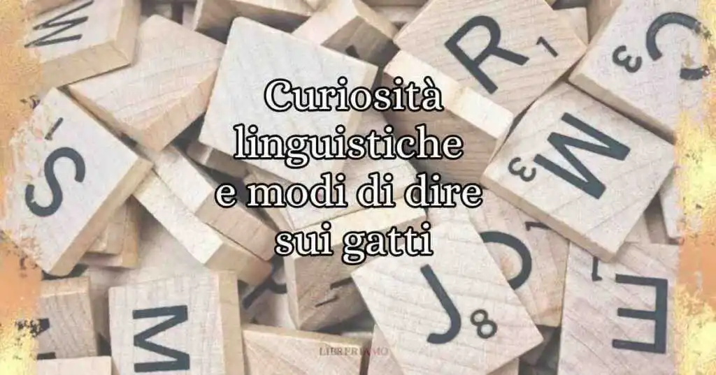6 curiosità linguistiche e modi di dire sui gatti
