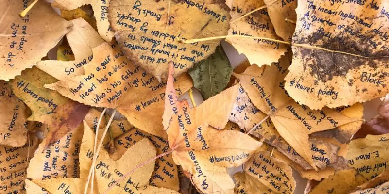 La giovane artista che ha scritto poesie sulle foglie dei parchi di New York
