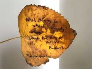 fogliapoesia2