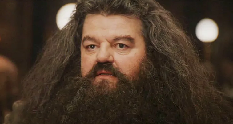 Rubeus_Hagrid