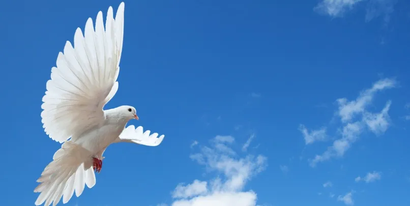 In questa ennesima giornata di lutto, vi proponiamo una selezione di aforismi che invitano a riflettere su ciò che è accaduto e a dire basta alla violenza