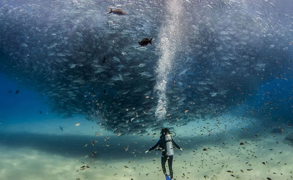 national geographic photo of the day internet favorites 2015 24 880orig main