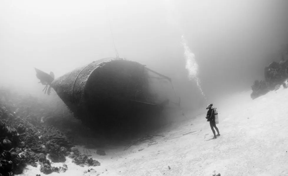 national geographic photo of the day internet favorites 2015 35 880orig main