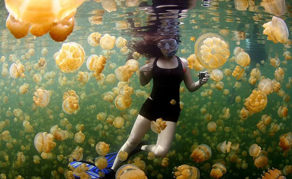 national geographic photo of the day internet favorites 2015 37 880orig main