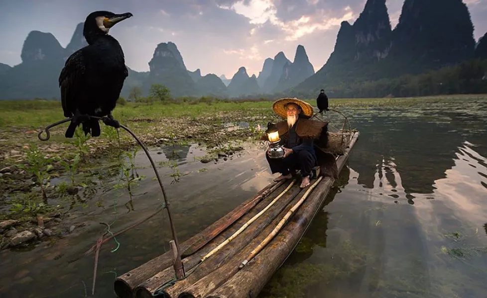 national geographic photo of the day internet favorites 2015 880orig main