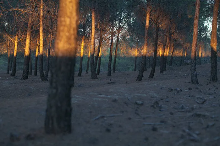 Foto perfettamente a tempo