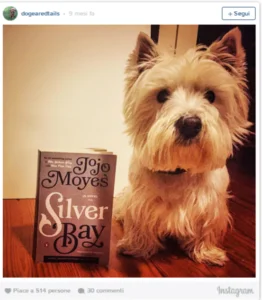 Gli account Instagram che stanno facendo impazzire chi ama i cani e la lettura
