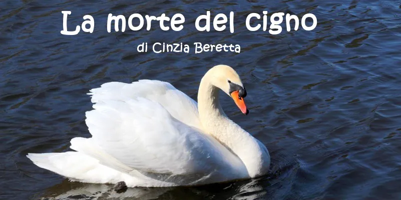 La morte del cigno - racconto di Cinzia Beretta