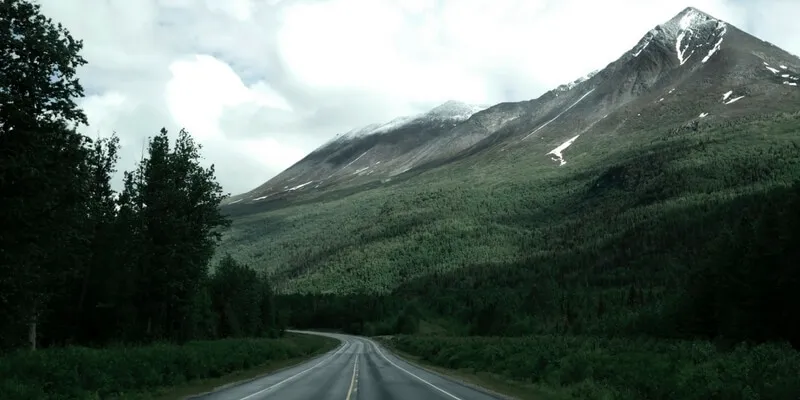 I 7 romanzi più belli sull'America della campagna