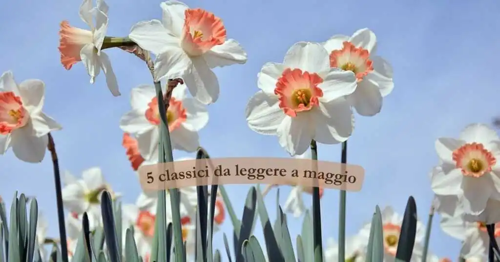 5 classici della letteratura da riscoprire a maggio