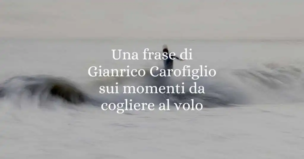 Una frase di Gianrico Carofiglio sui momenti da cogliere al volo