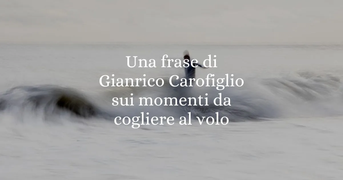 Una frase di Gianrico Carofiglio sui momenti da cogliere al volo