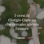 I versi di Giorgio Caproni che cercano ancora l'amore