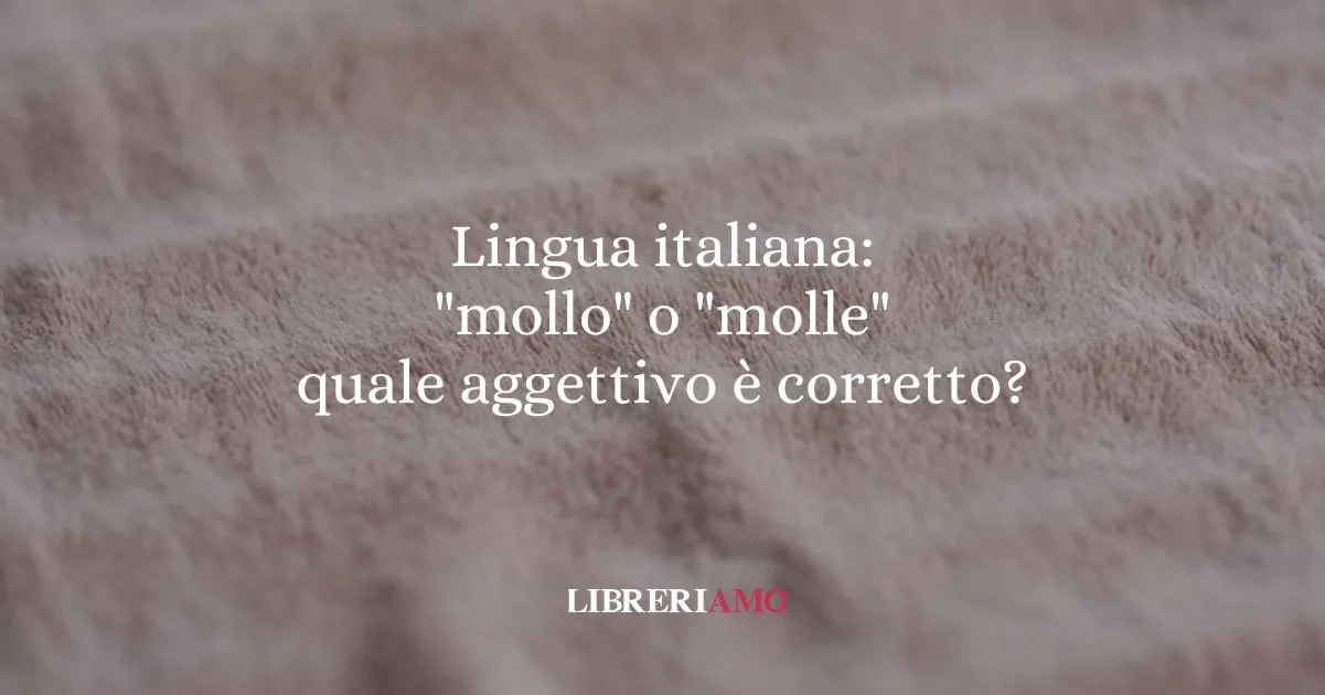 Lingua italiana mollo o molle quale aggettivo è corretto